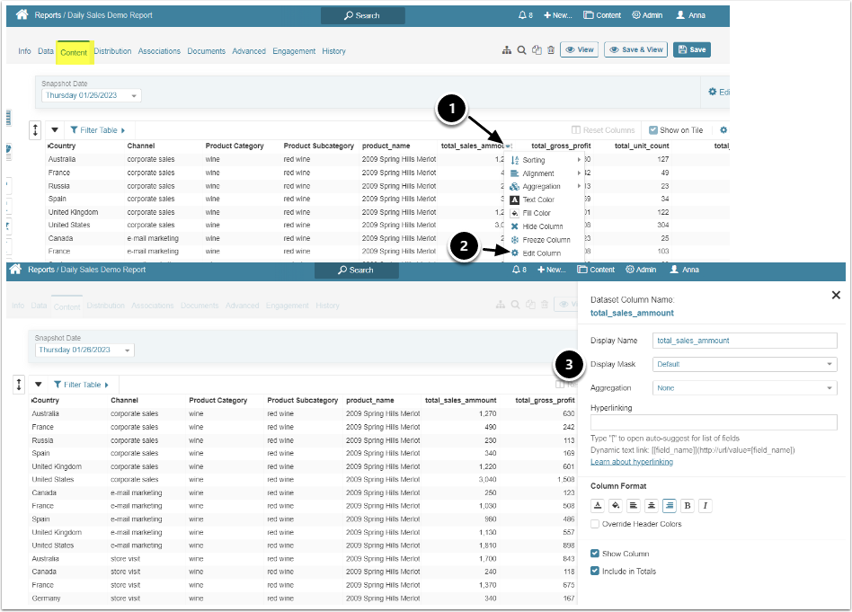 Report Editor - Google Chrome