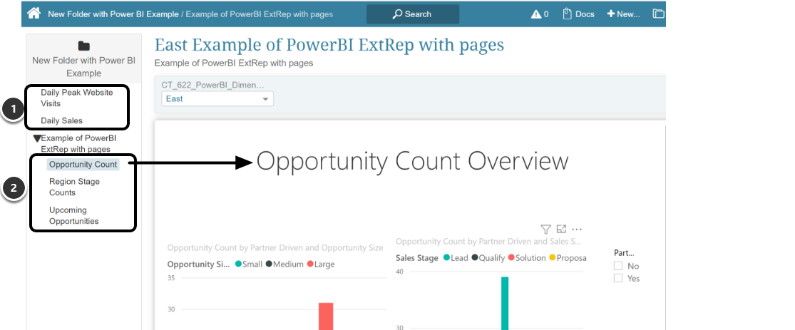External Report: Example of PowerBI_ExtRep with pages & filters - Google Chrome