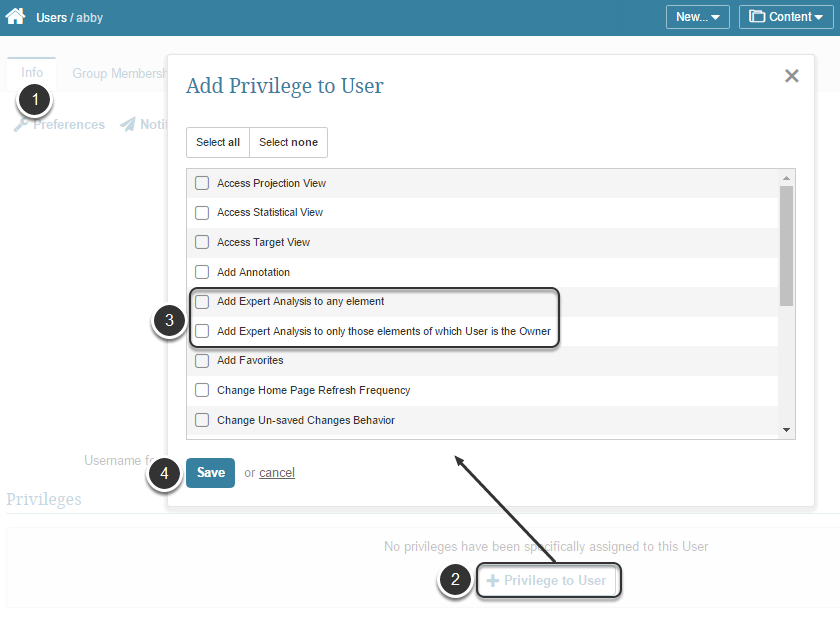 Granting 'Add Expert Analysis' Privilege to Regular / Power users OR Group